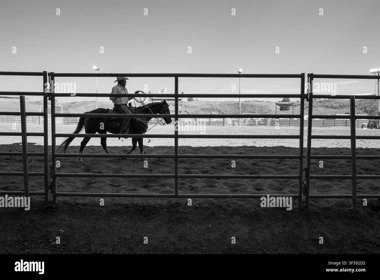 Squadra di addestratore di vitelli al rodeo indiano di Kainia a Stand Off, Alberta, Canada Foto Stock