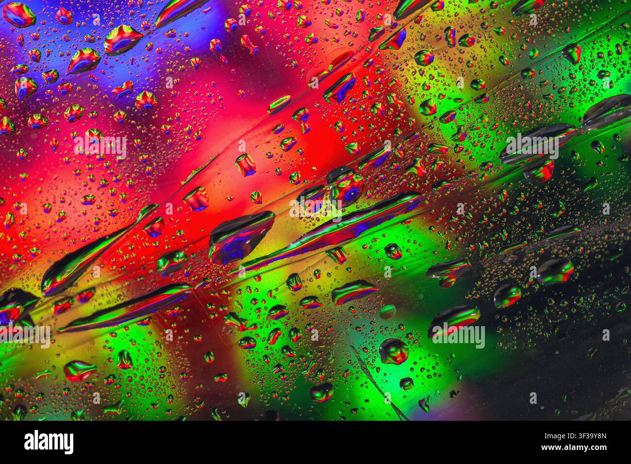 Gocce d'acqua colorate su sfondo astratto iridescente. Vista macro delle gocce d'acqua, superficie iridescente vivida con riflessi rossi e verdi Foto Stock