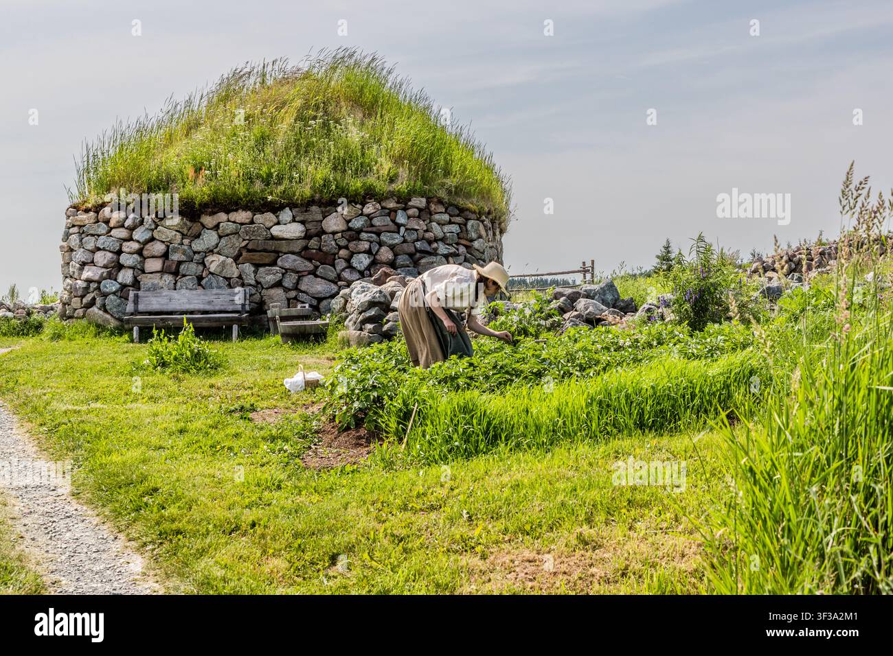 Un'attrice in costume d'epoca sta lavorando in un orto davanti alla cosiddetta Casa Nera presso il Highland Village Museum | Baile nan Gàidheal a Iona, nella Nuova Scozia, Canada. La casa rotonda in pietra coperta di paglia raffigura lo stile di vita dei coloni scozzesi-gaelici dal 1770 al 1830, da cui hanno origine la maggior parte degli immigrati di Cape Breton Foto Stock