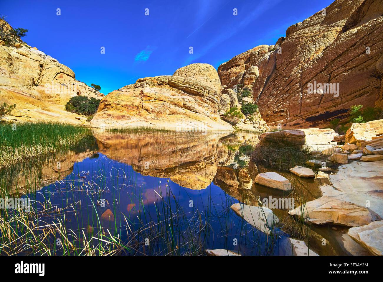 Red Rock Canyon Calico Tanks Riflesso dell'acqua e scogliere di arenaria nel Nevada Foto Stock
