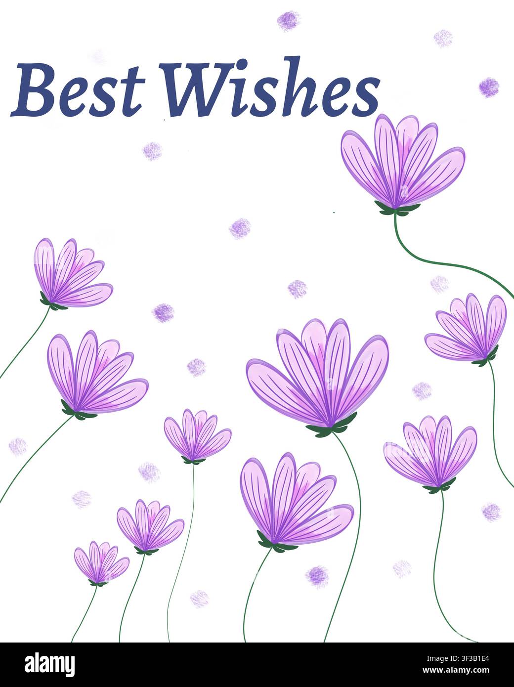Design di cartolina di auguri digitale con illustrazione che mostra il testo "Best Wishes" in una scrittura elegante circondato da fiori viola con steli lunghi e curvi. Foto Stock