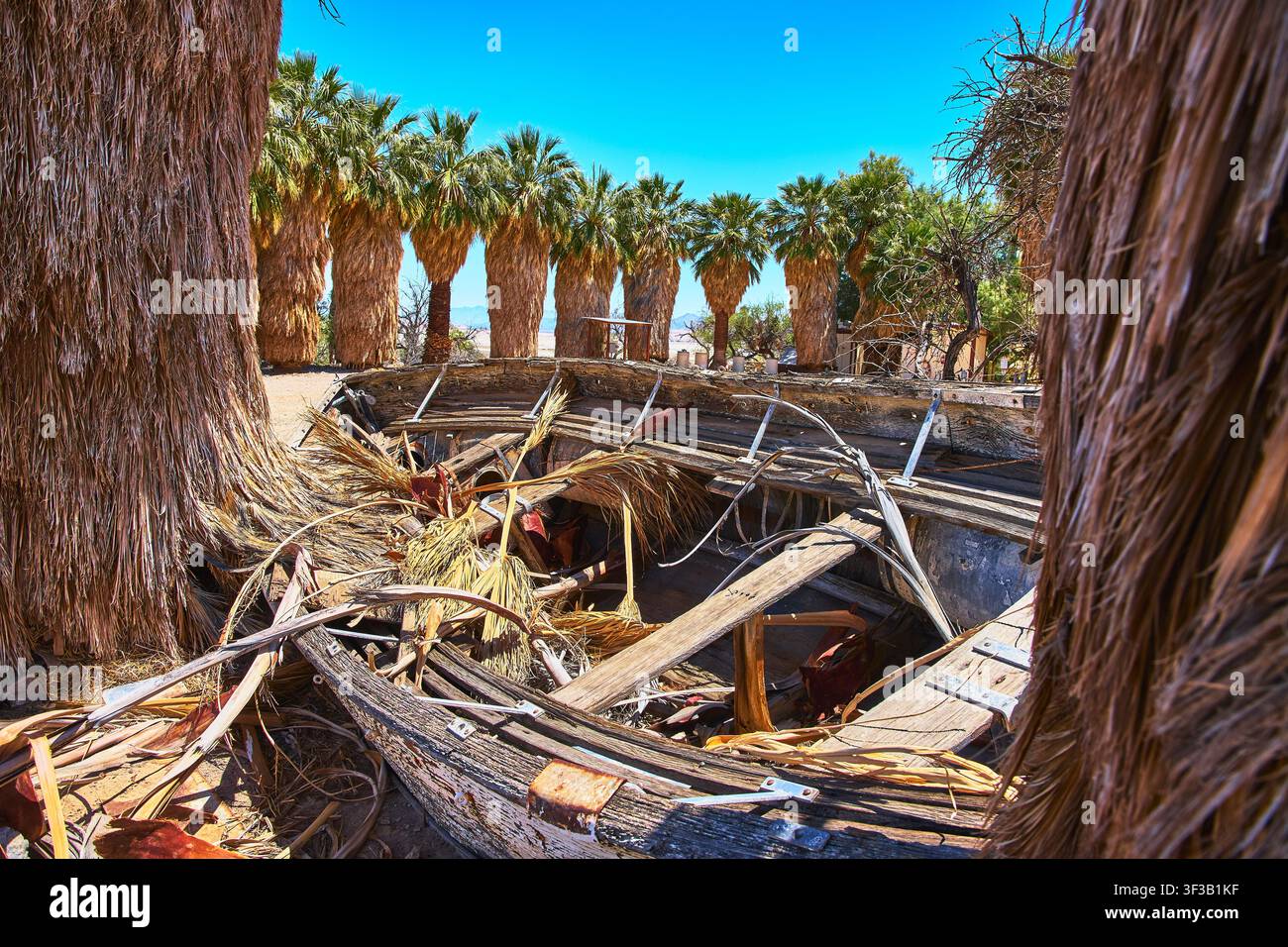 Nave di legno abbandonata tra le palme nel deserto di Zzyzx in California Foto Stock
