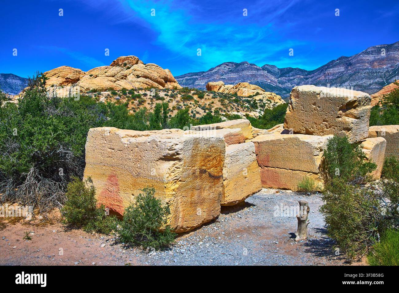 La cava di Red Rock Canyon blocca la vegetazione desertica e il paesaggio montano del Nevada Foto Stock