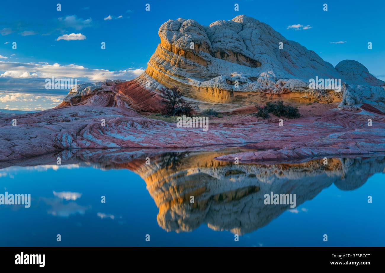 Riflessioni, Sandstone Bluffs, White Pocket, Vermillion Cliffs National Monument, Arizona Foto Stock
