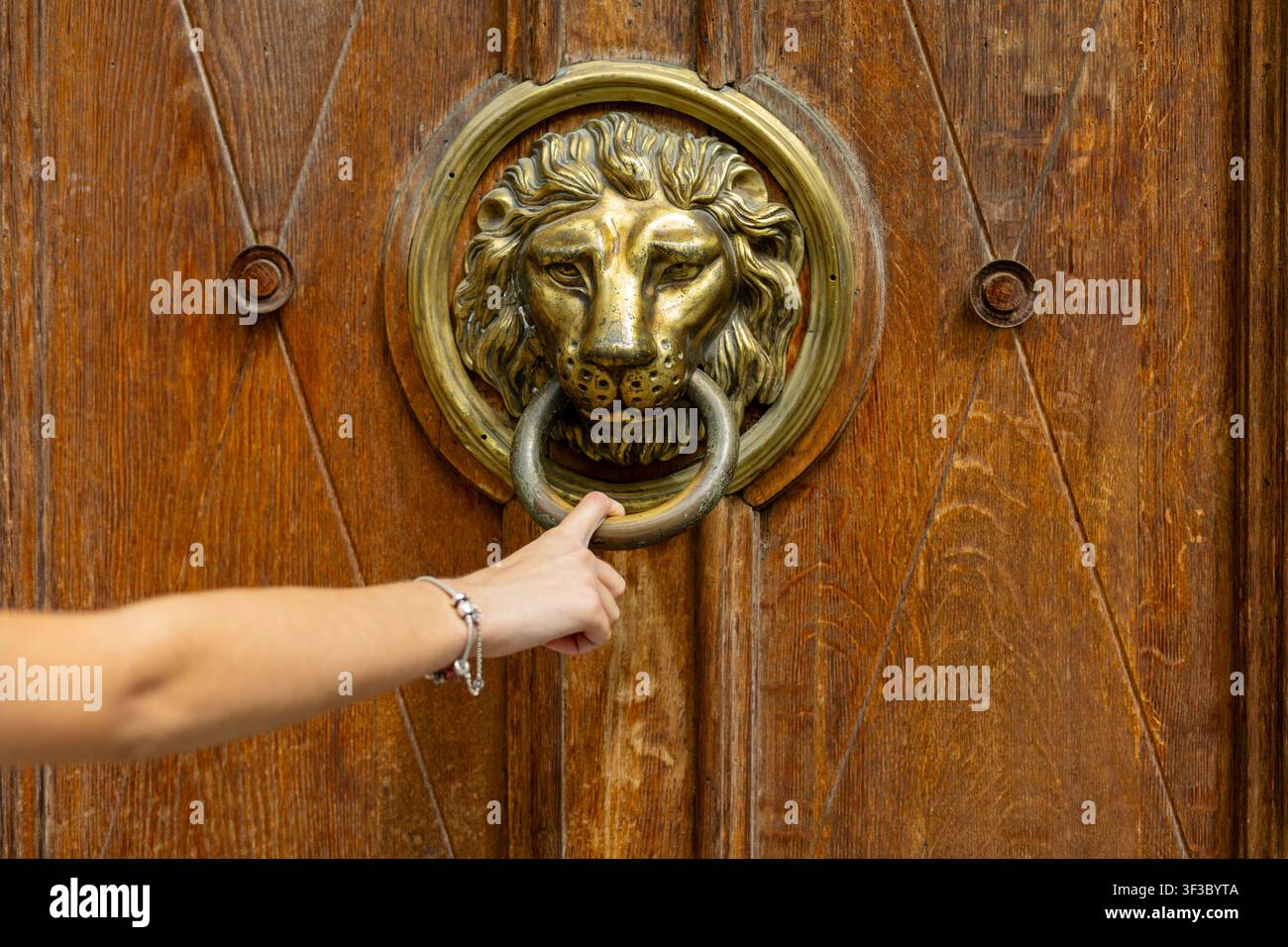 Mano che tiene un batacchio a testa di leone ornato. Primo piano di una mano che tiene un batacchio in ottone ornato a forma di testa di leone su una porta di legno intagliata. Foto Stock