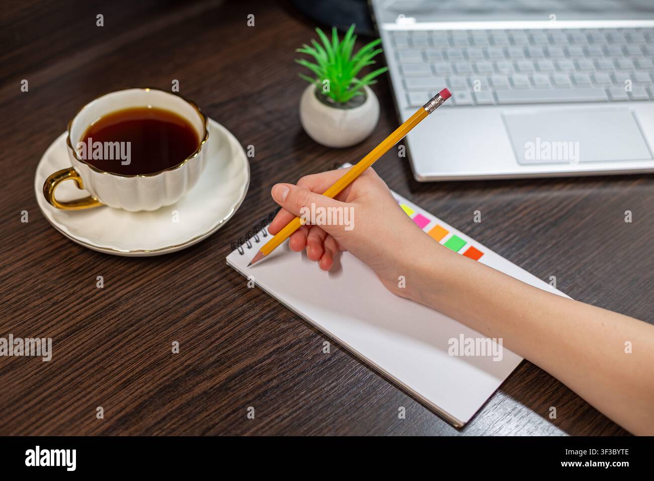 Scrittura a mano in un quaderno accanto a un laptop e al tè. Una mano che tiene una matita sopra un quaderno a spirale vuoto accanto al tè, un laptop e una piccola pianta su legno Foto Stock