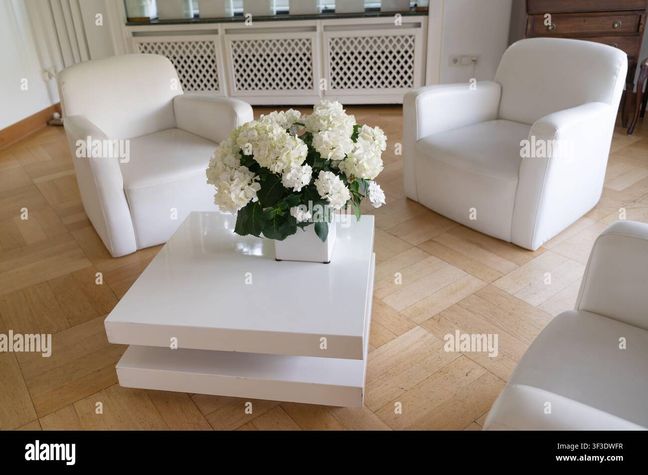Soggiorno moderno bianco con poltrone, tavolino e fiori di ortensia bianchi in un interno luminoso Foto Stock