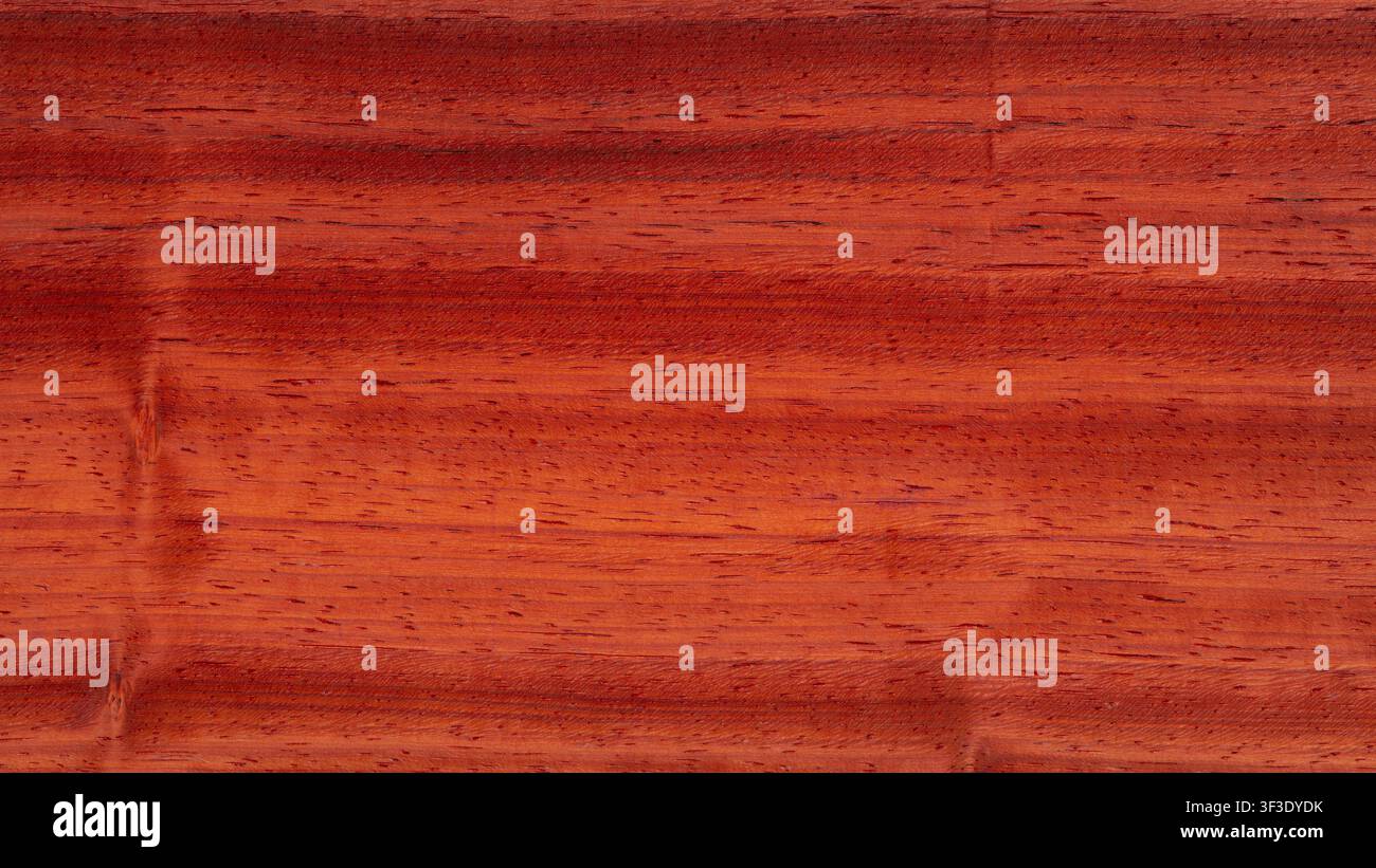 Superficie in legno di padauk di colore marrone rossastro naturale Foto Stock