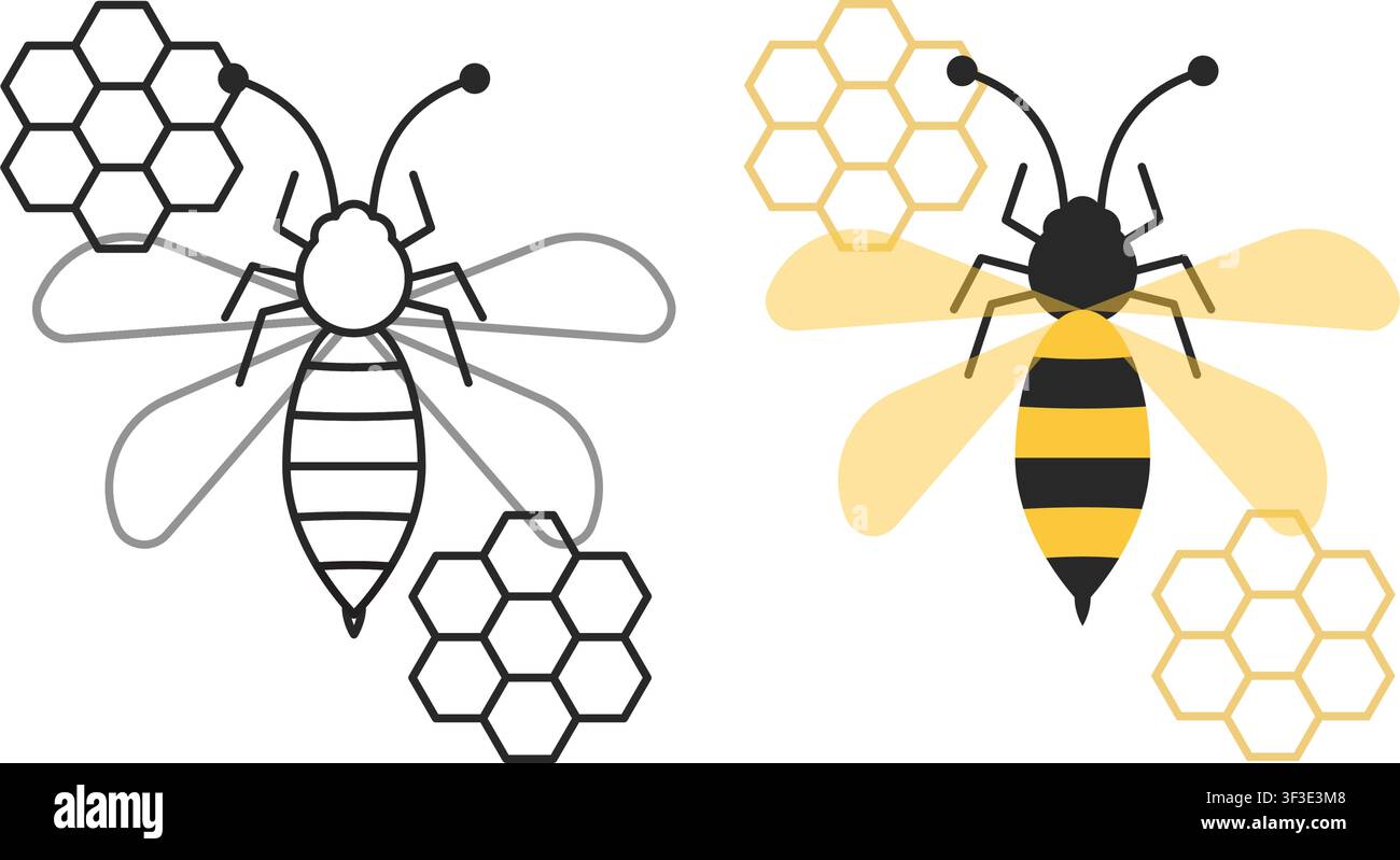 Illustrazione minimalista di un'ape con strisce gialle e nere circondata da celle esagonali di miele, presentata in linea arte e versione colorata Illustrazione Vettoriale