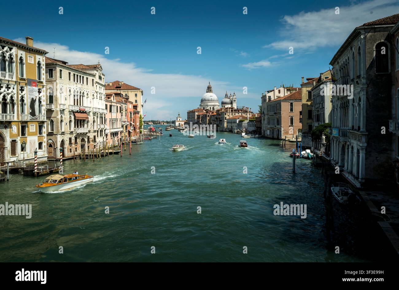 Vista del Canal Grande di Venezia, Italia Foto Stock