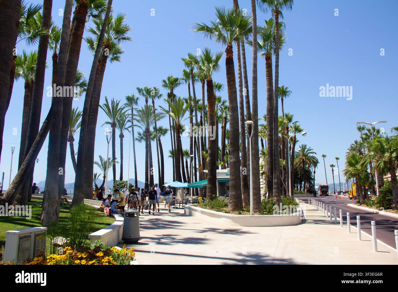 un grande parco con molte statue circondato da alte palme e percorsi paesaggistici sulla promenade di Cannes Foto Stock