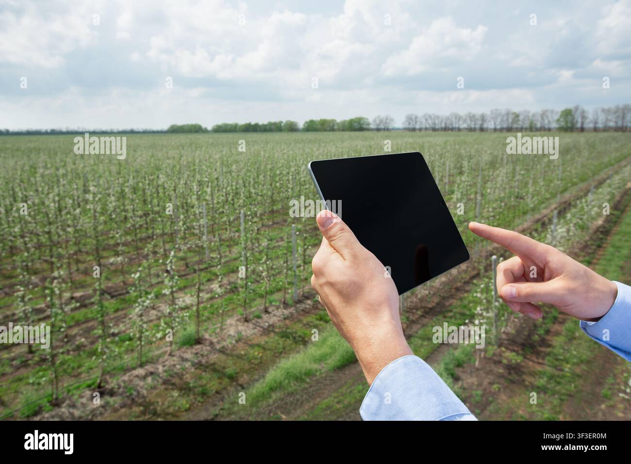 Giardinaggio, controllo intelligente delle aziende agricole con dispositivi moderni Foto Stock