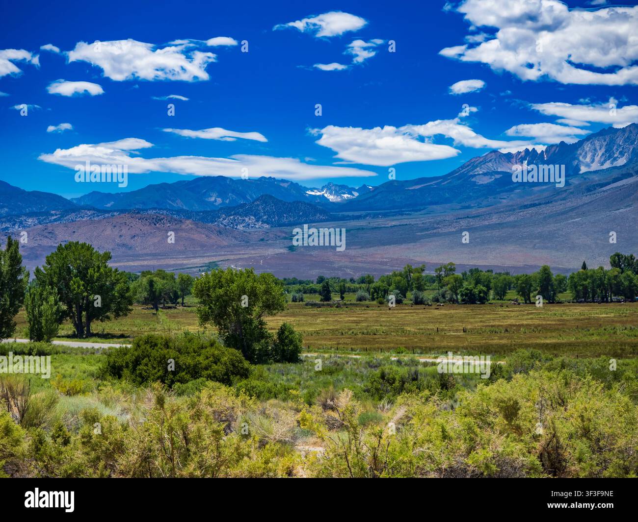 Picchi della Sierra dalla U.S. 395 a nord di Bishop, California. Foto Stock
