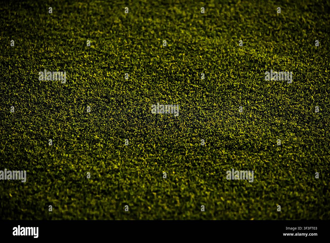 Texture a tela intera di erba verde fitta con un bordo scuro a vignetta. Perfetto per sfondo sportivo o naturale. Foto Stock