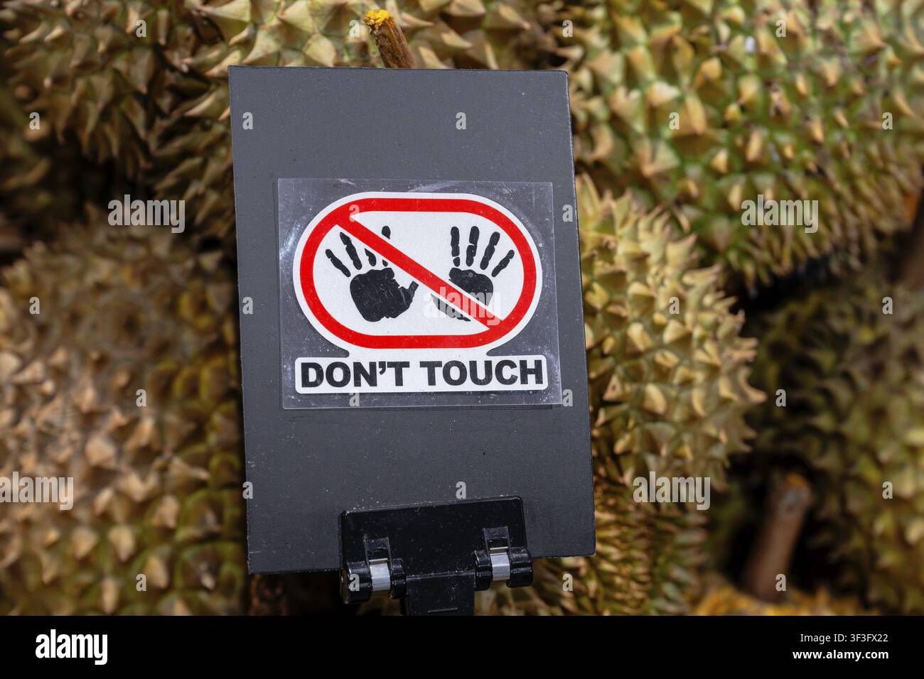 Non toccare adesivo frutti di durian, Bangkok, Thailandia Foto Stock