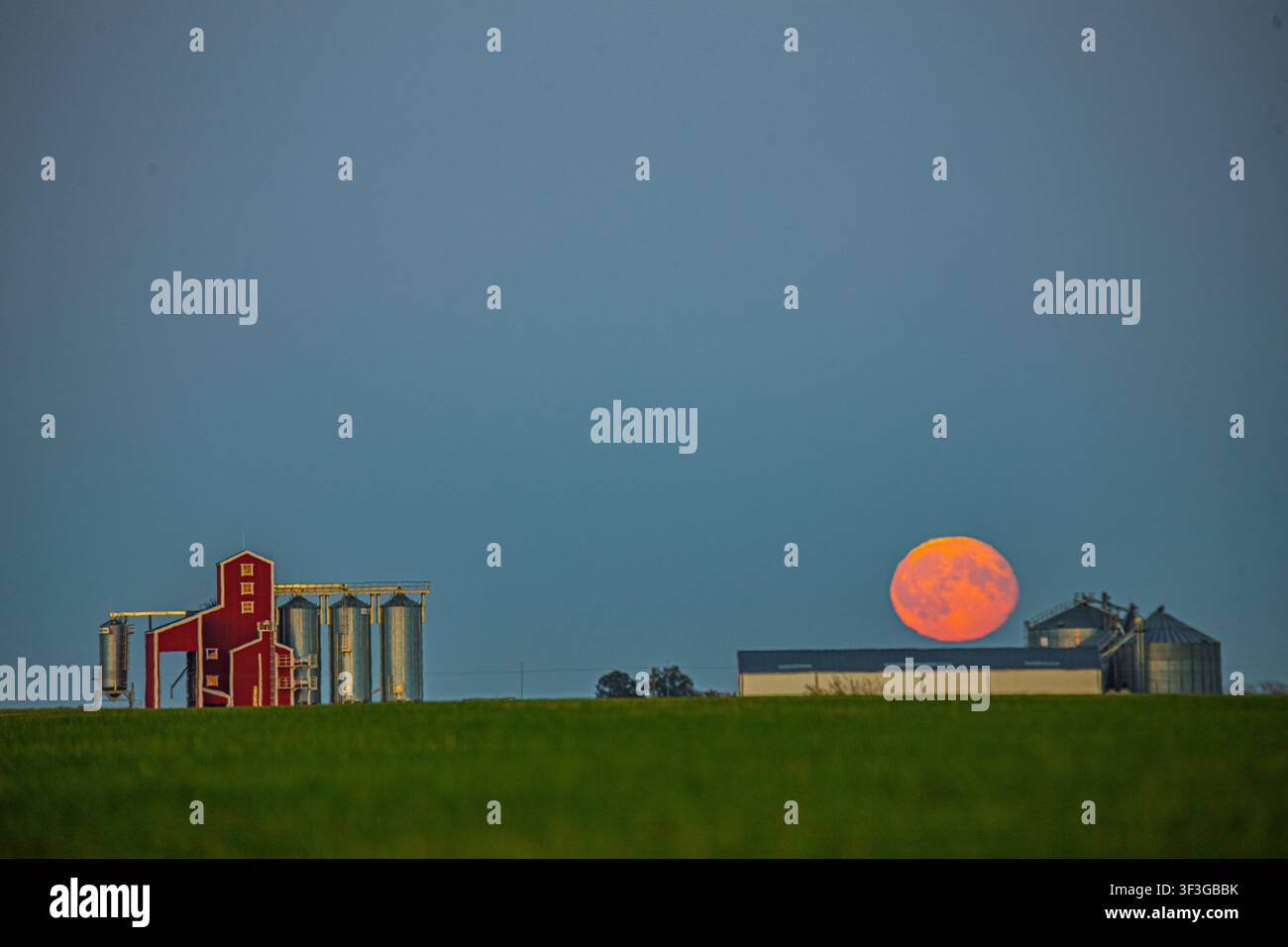 Vista di un edificio agricolo rosso e di silos per cereali argentati davanti a una grande luna arancione che sorge su un campo verde in Lettonia. Foto Stock