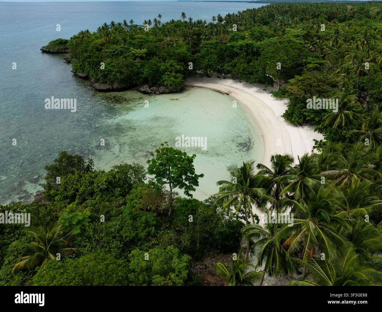 Caletta sabbiosa curva delimitata da una fitta foresta verde incontra acque turchesi poco profonde. Camotes, Filippine. Foto Stock