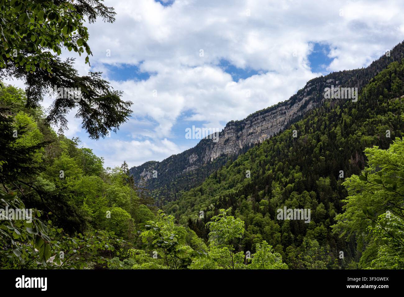Vista panoramica della gola boschiva dell’Areuse circondata da pareti calcaree nelle montagne del Giura, Neuchâtel, Svizzera. Foto Stock