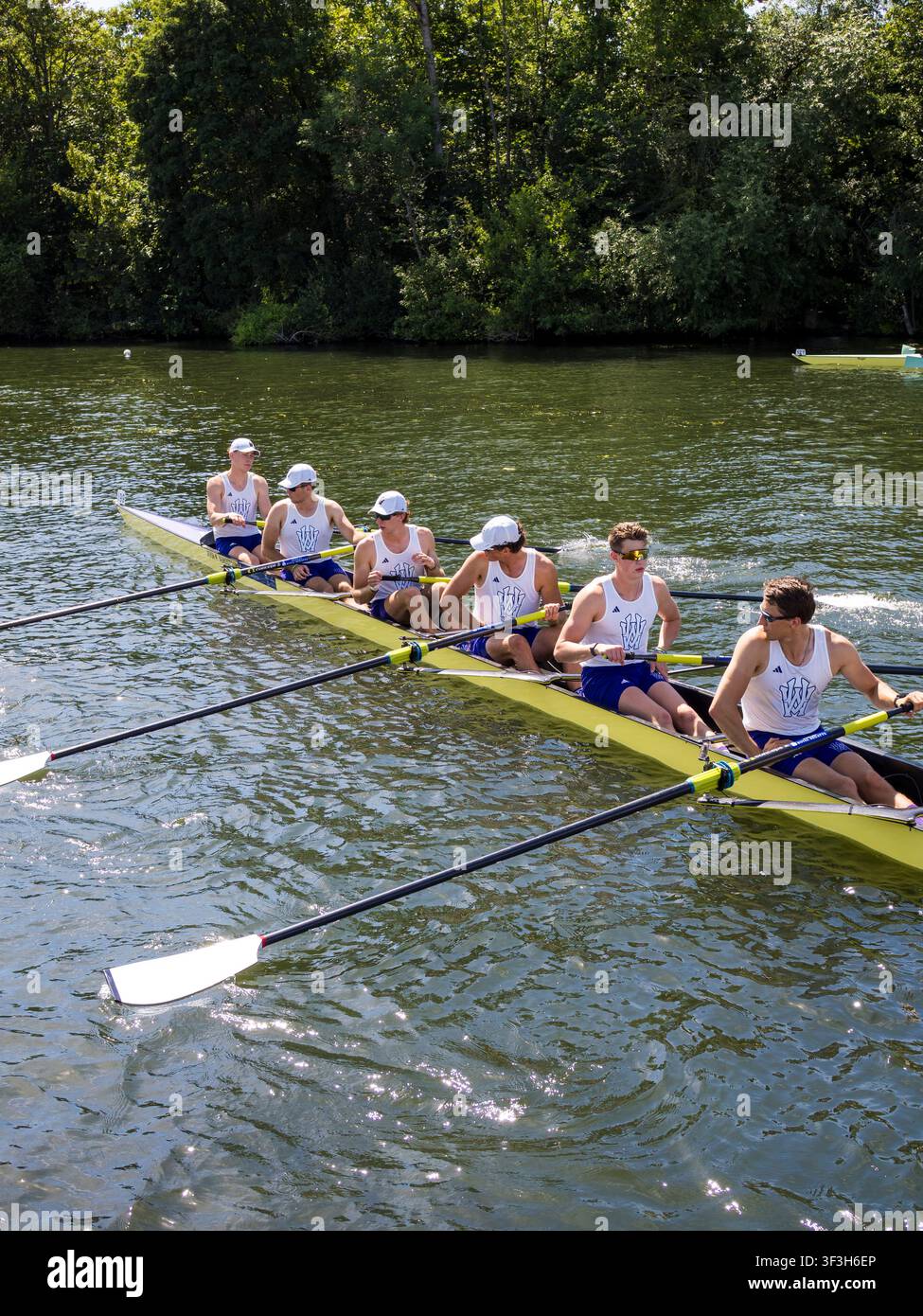Gara alla Royal Henley Regatta, Henley, Inghilterra, Regno Unito. Foto Stock