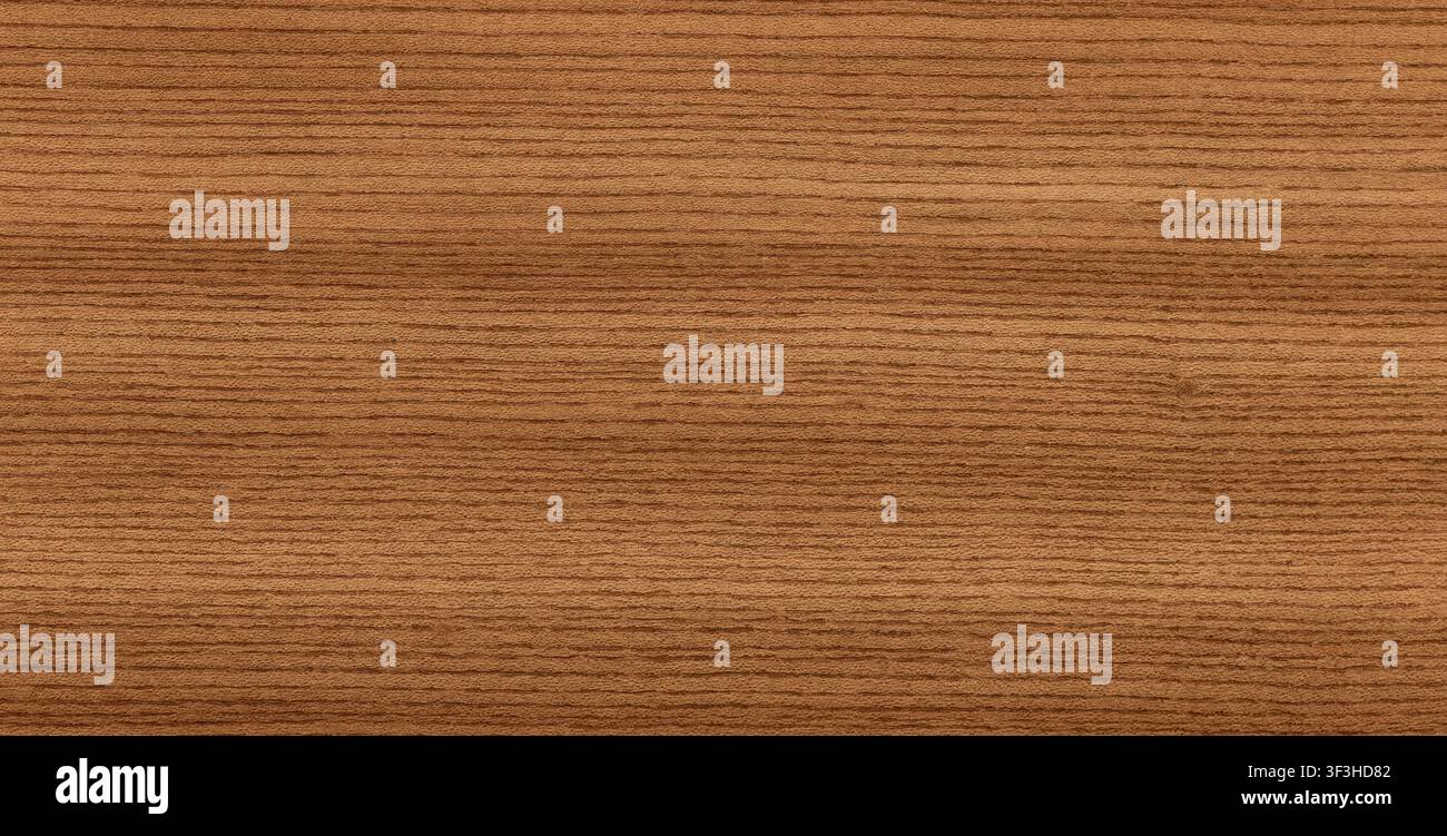 Motivo di grana della texture in legno di olmo Foto Stock