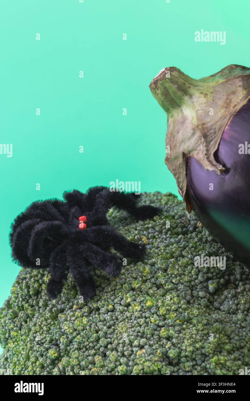 Una fotografia concettuale verticale con un grosso ragno nero (accessorio) posizionato su un fiorellino di broccolo verde fresco accanto a una melanzana viola. L'immagine cr Foto Stock