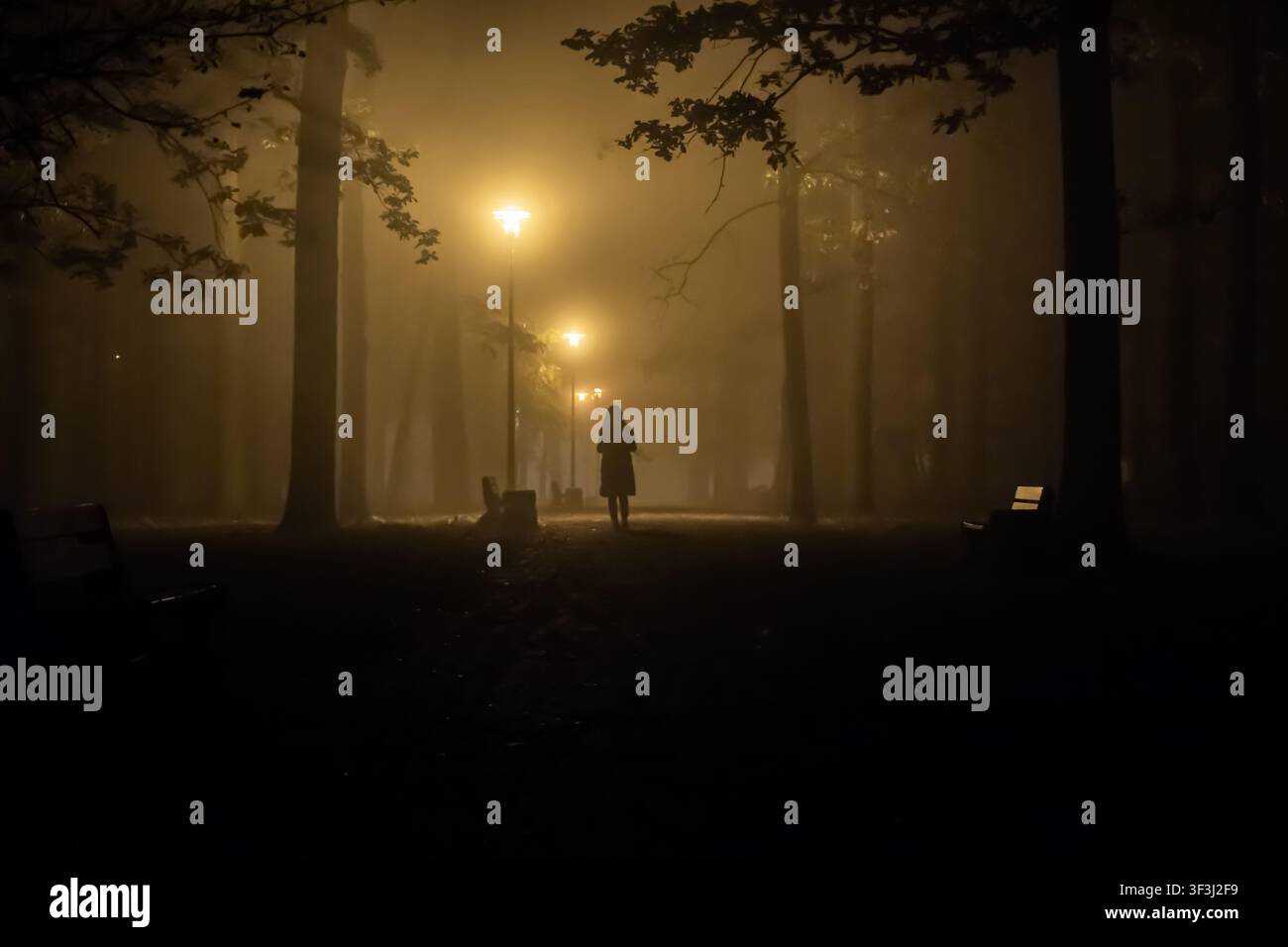Silhouette a tutta lunghezza di una persona solitaria che si allontana su un sentiero buio e nebbioso del parco sotto lampioni luminosi di notte, circondata da alti alberi. Foto Stock
