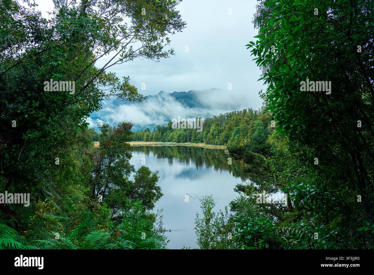 Lago calmo che riflette montagne nebbiose sotto un cielo nuvoloso e una fitta foresta nativa nel Lake Matheson, South Westland, Nuova Zelanda Foto Stock