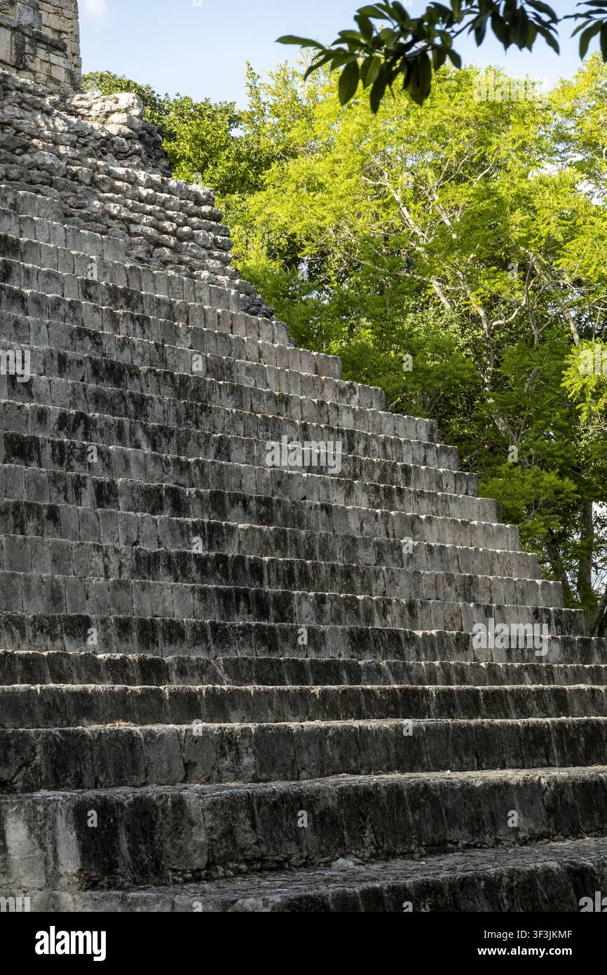 Vista dell'antica piramide maya di Becan circondata dalla lussureggiante vegetazione della giungla a Calakmul, Campeche, Messico. Foto Stock