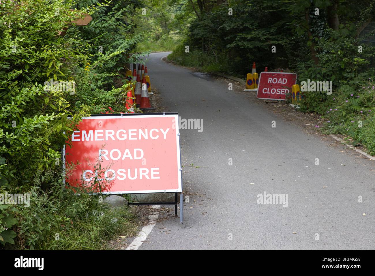 Un cartello di chiusura stradale d'emergenza che blocca una stretta strada asfaltata e tortuosa fiancheggiata da una vegetazione verde rigogliosa e coni di avvertimento su Dell Road, Rochdale, Regno Unito. Foto Stock