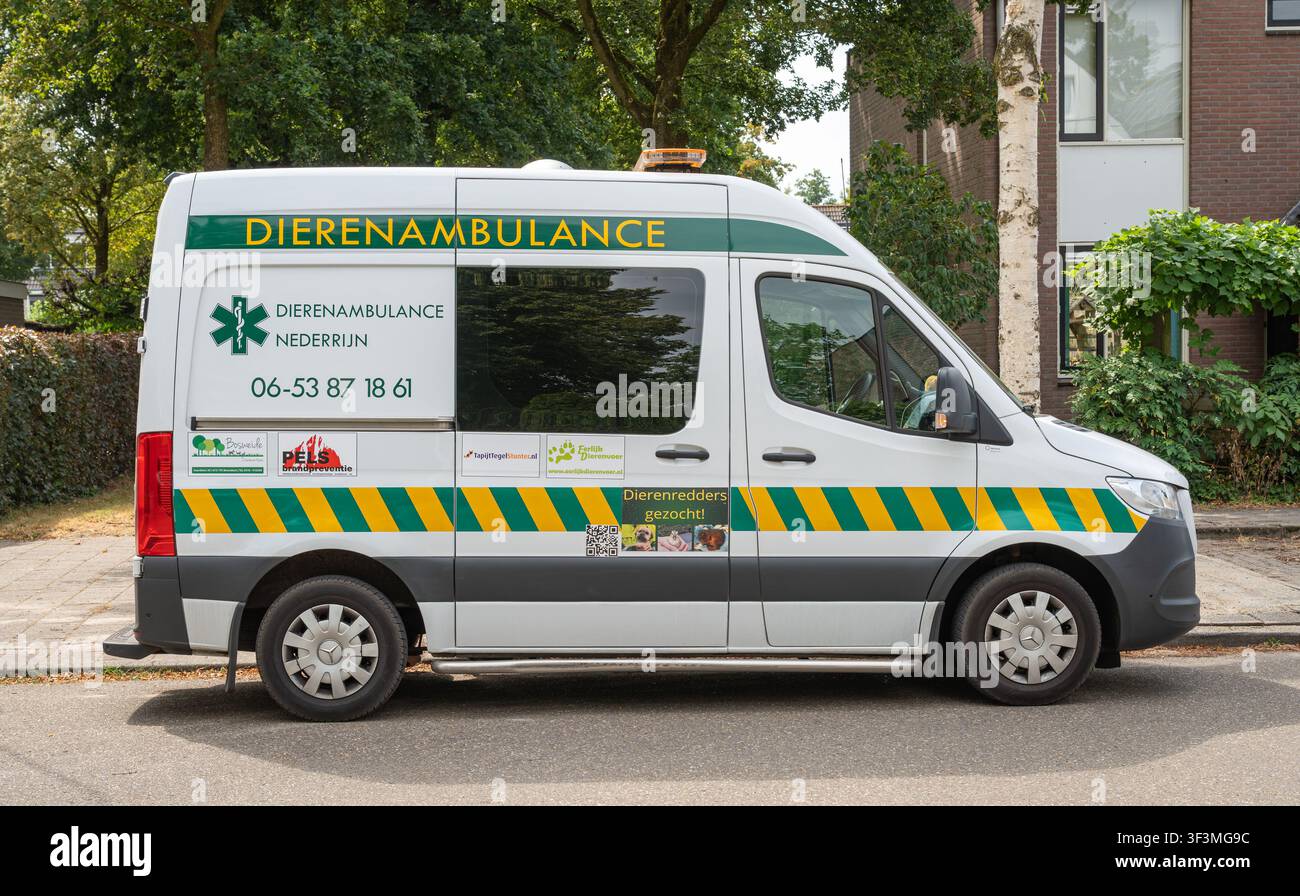 Ede, Paesi Bassi, 24.07.2026, Dierenambulance, veicolo olandese di soccorso animale parcheggiato in una strada residenziale Foto Stock
