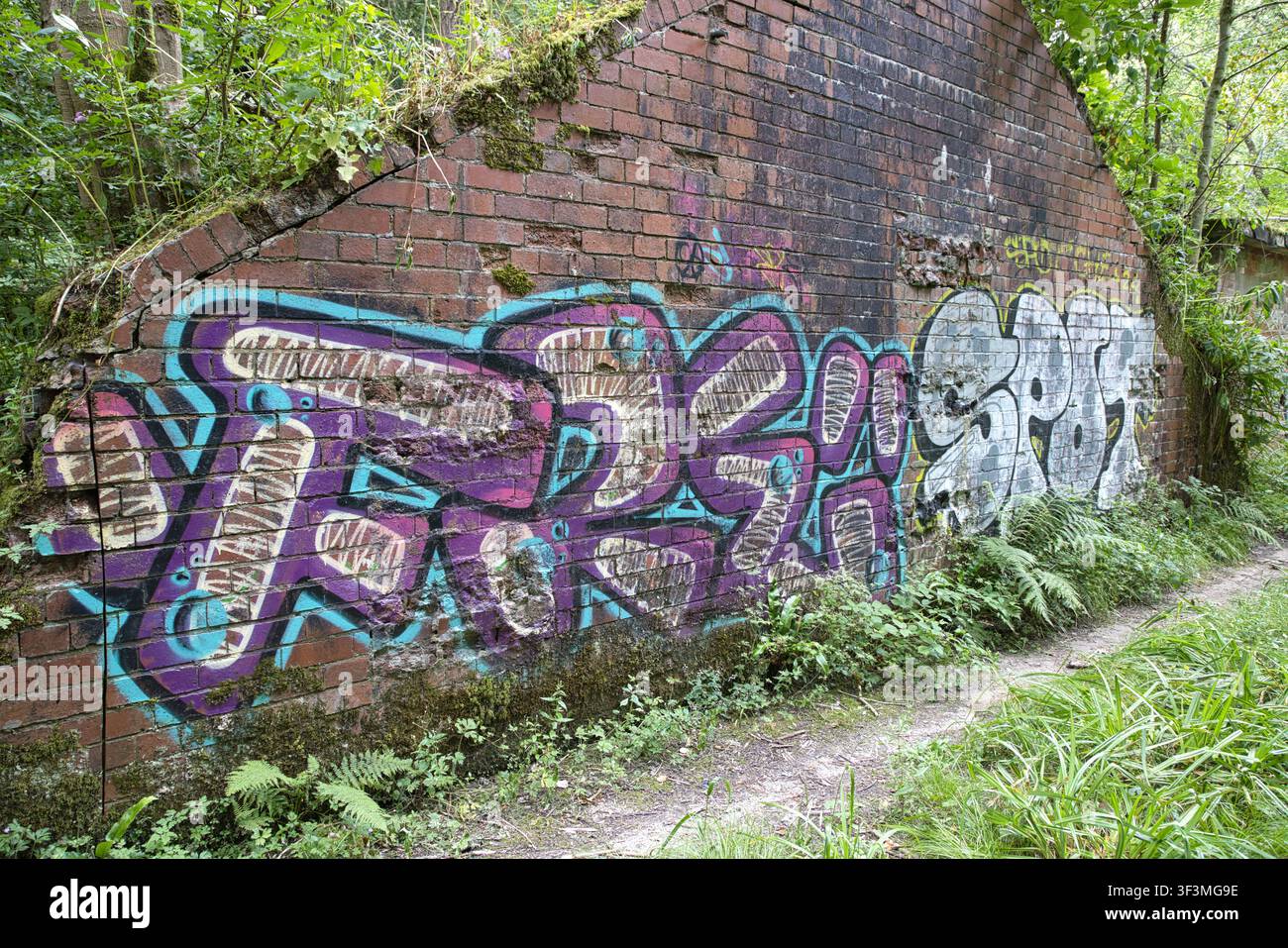 Muro di mattoni rossi patinato con graffiti e street art a stencil vivaci in viola, blu e bianco, Healey Dell, Rochdale, Regno Unito. Foto Stock