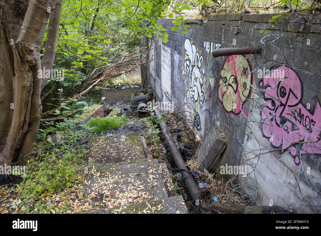 Scalinata esterna in cemento e sistema di tubi di drenaggio ricoperti di graffiti lungo il fiume Spodden su Woodland Road, Rochdale, UK. Foto Stock