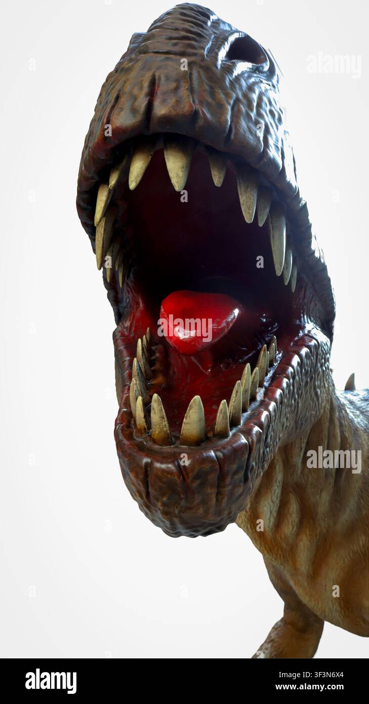 Questo modello dettagliato di un tirannosauro rex presenta una bocca aperta che mostra denti affilati e una lingua dai colori vivaci, perfetta per scopi educativi Foto Stock