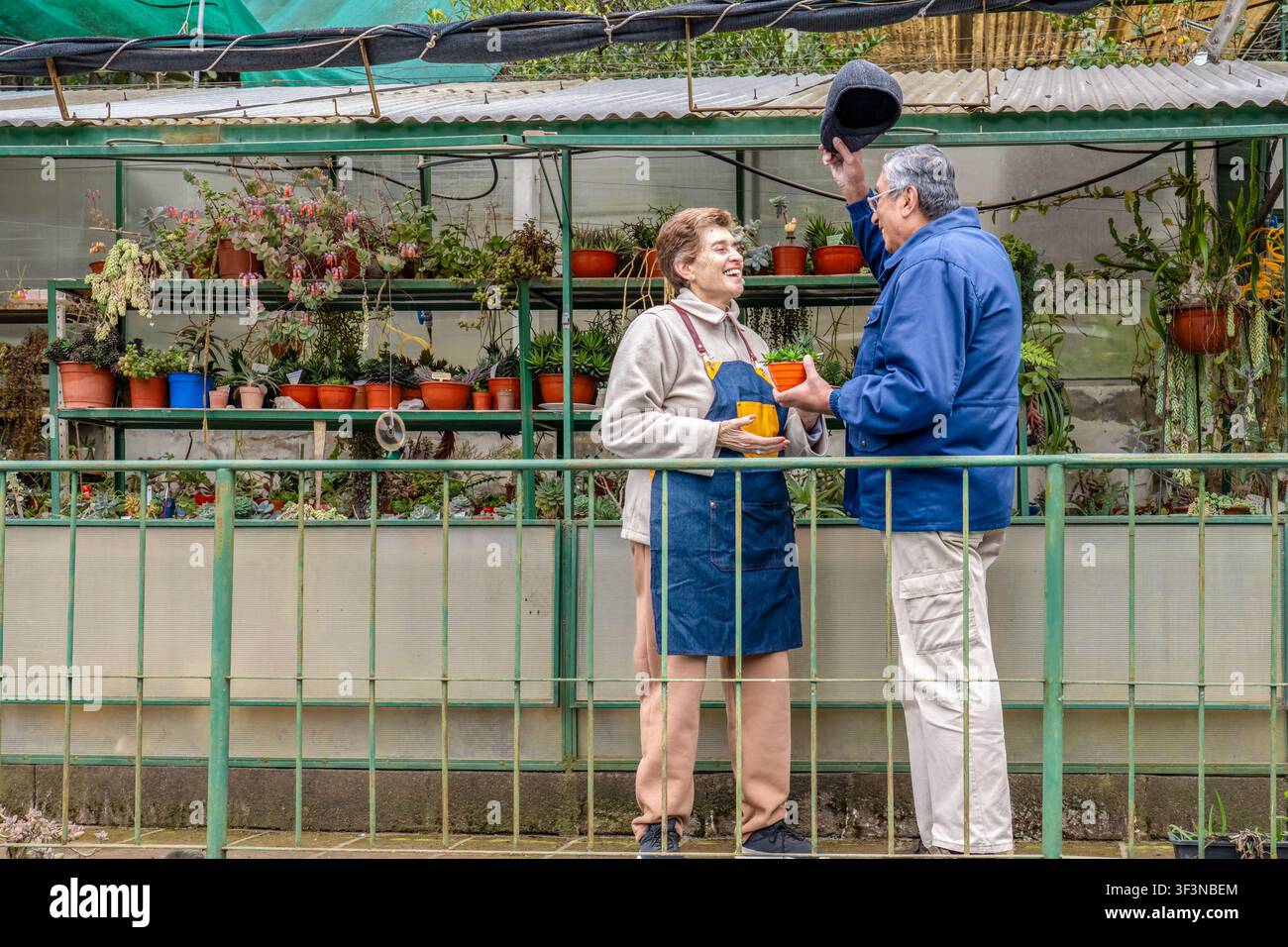 Un uomo anziano giocoso si toglie il berretto piatto dalla testa mentre una donna con un grembiule di jeans ride gioiosamente fuori dalla loro serra, tenendo una piccola succulenta Foto Stock