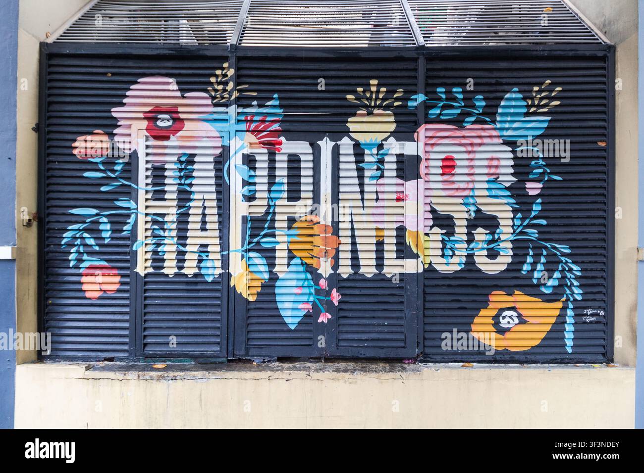 Mural di street art colorato che spells "Felicità" in lettere grassette, decorato con fiori dipinti su una porta a saracinesca nera Foto Stock