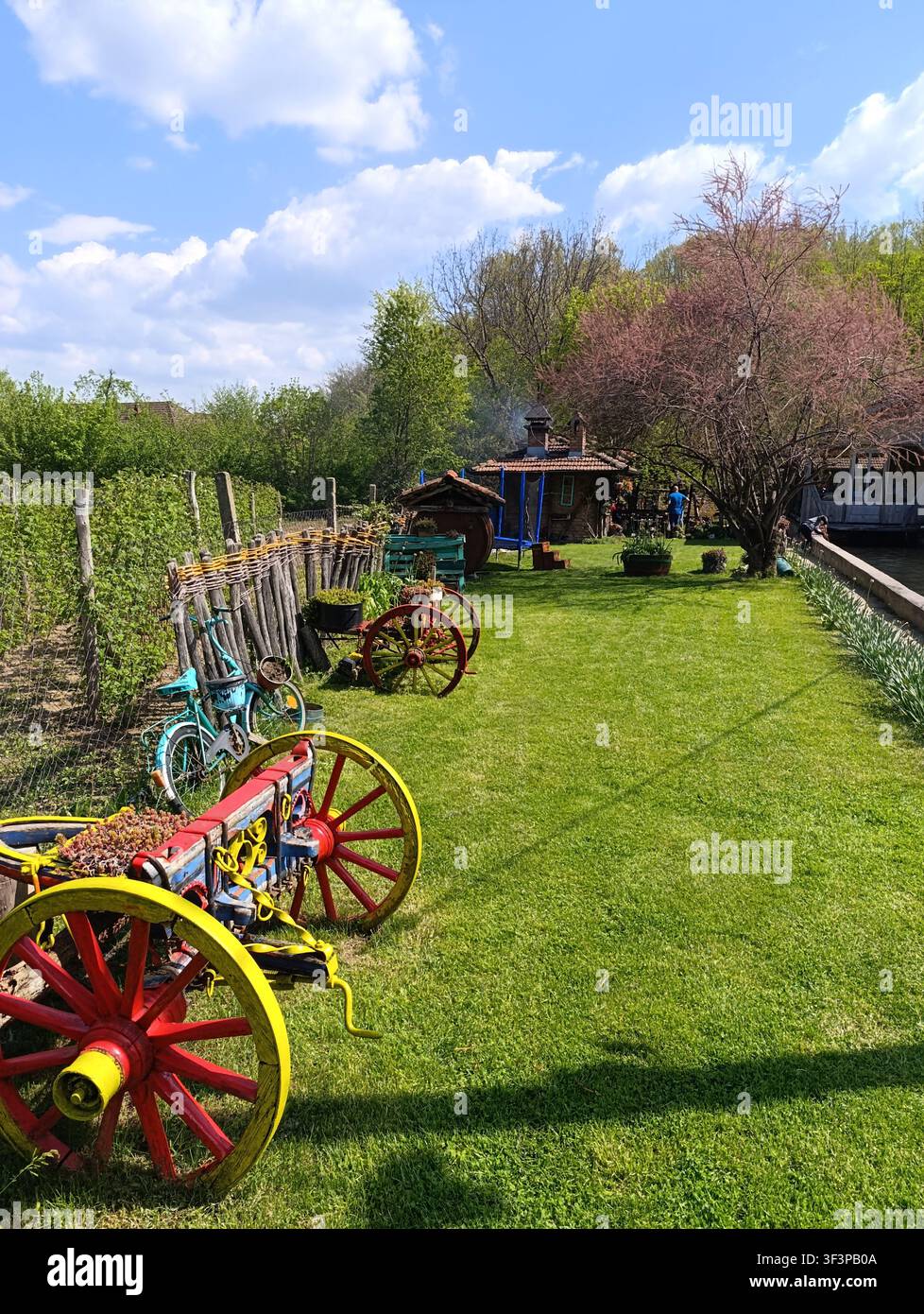 Cortile primaverile colorato - Immagine stock catturata con smartphone
