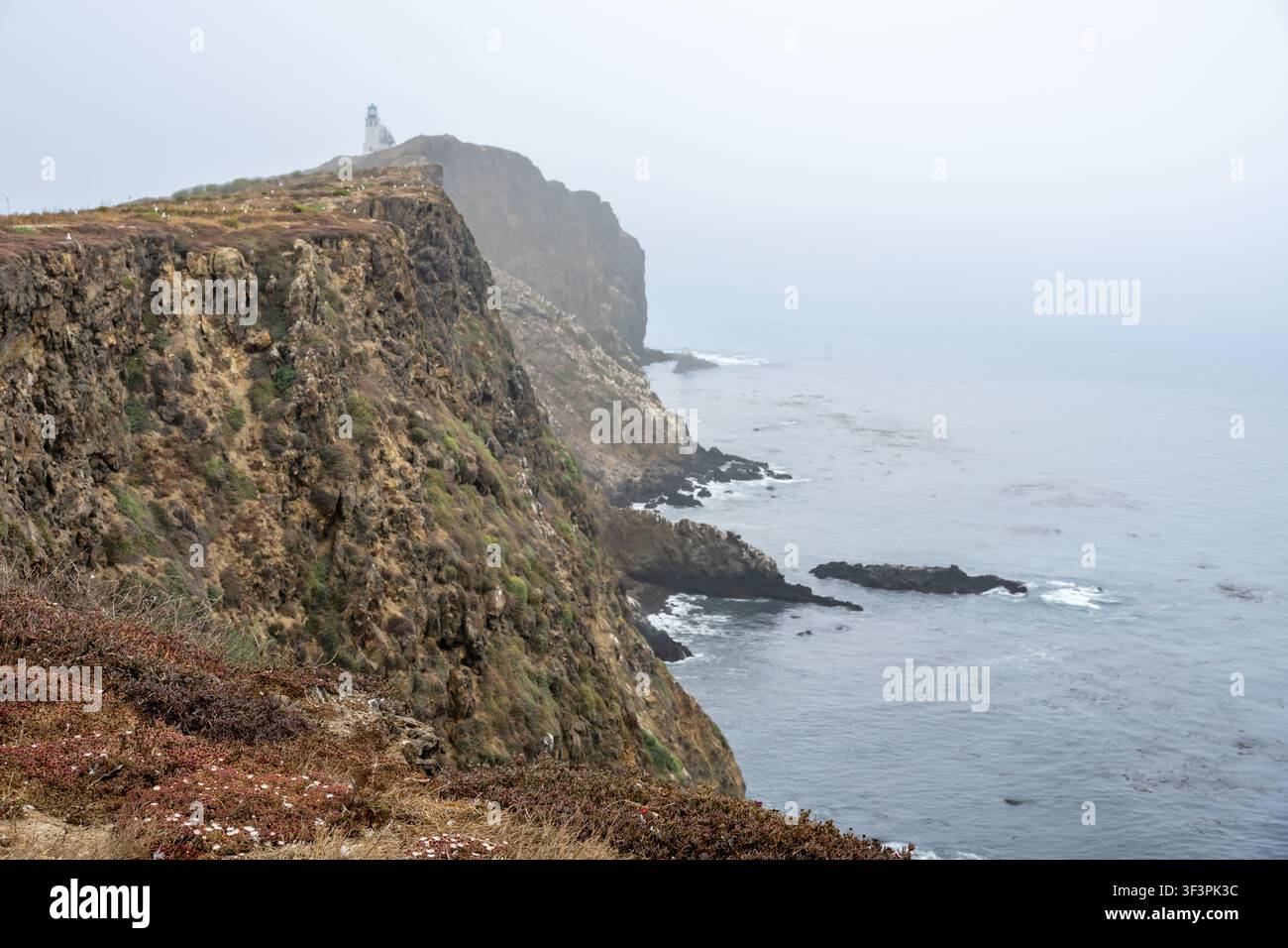 Faro, Isola di Anacapa, Parco Nazionale delle Isole Channel, California. Foto Stock