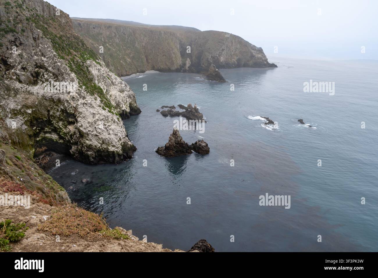 Baia della Cattedrale nebbiosa, Isola di Anacapa, Parco Nazionale delle Isole Channel, California. Foto Stock