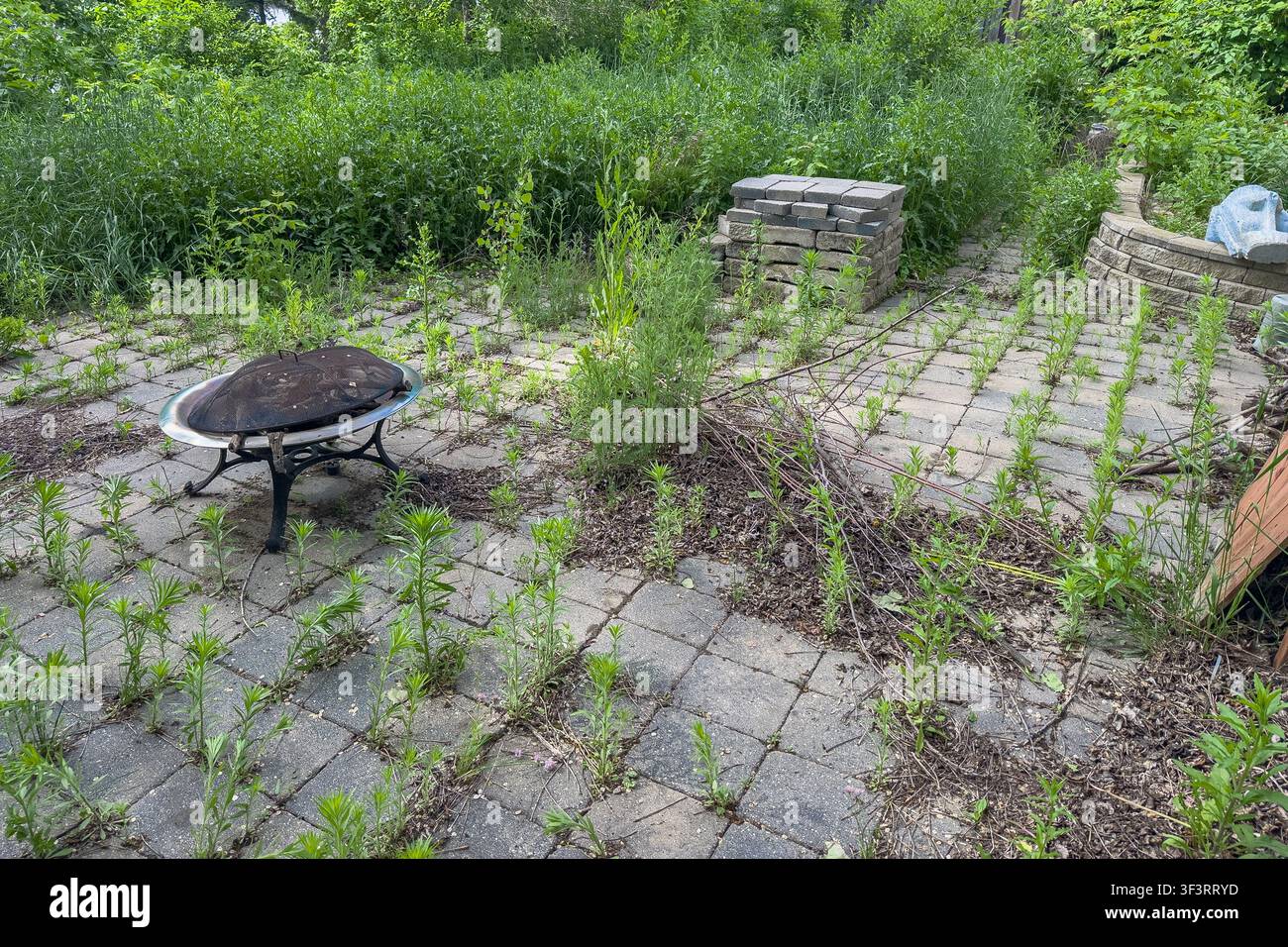 Patio residenziale trascurato con erbacce che crescono tra le pietre del lastricato, terrazza in legno consumata e vasi per piante, che illustra la necessità di paesaggistica Foto Stock