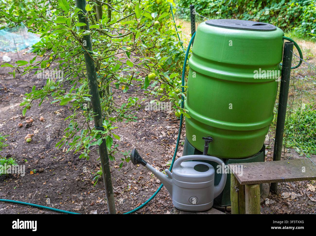 Barattolo di plastica per la pioggia con tubo e annaffiatoio per l'immagazzinamento dell'acqua piovana in giardino Foto Stock