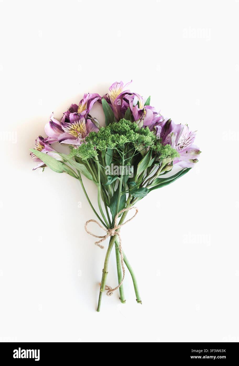 Mazzo fresco di fiori di Alstroemeria gialli e viola legati con uno spago, isolati su uno sfondo bianco pulito, ideale per il design floreale, biglietto di auguri Foto Stock