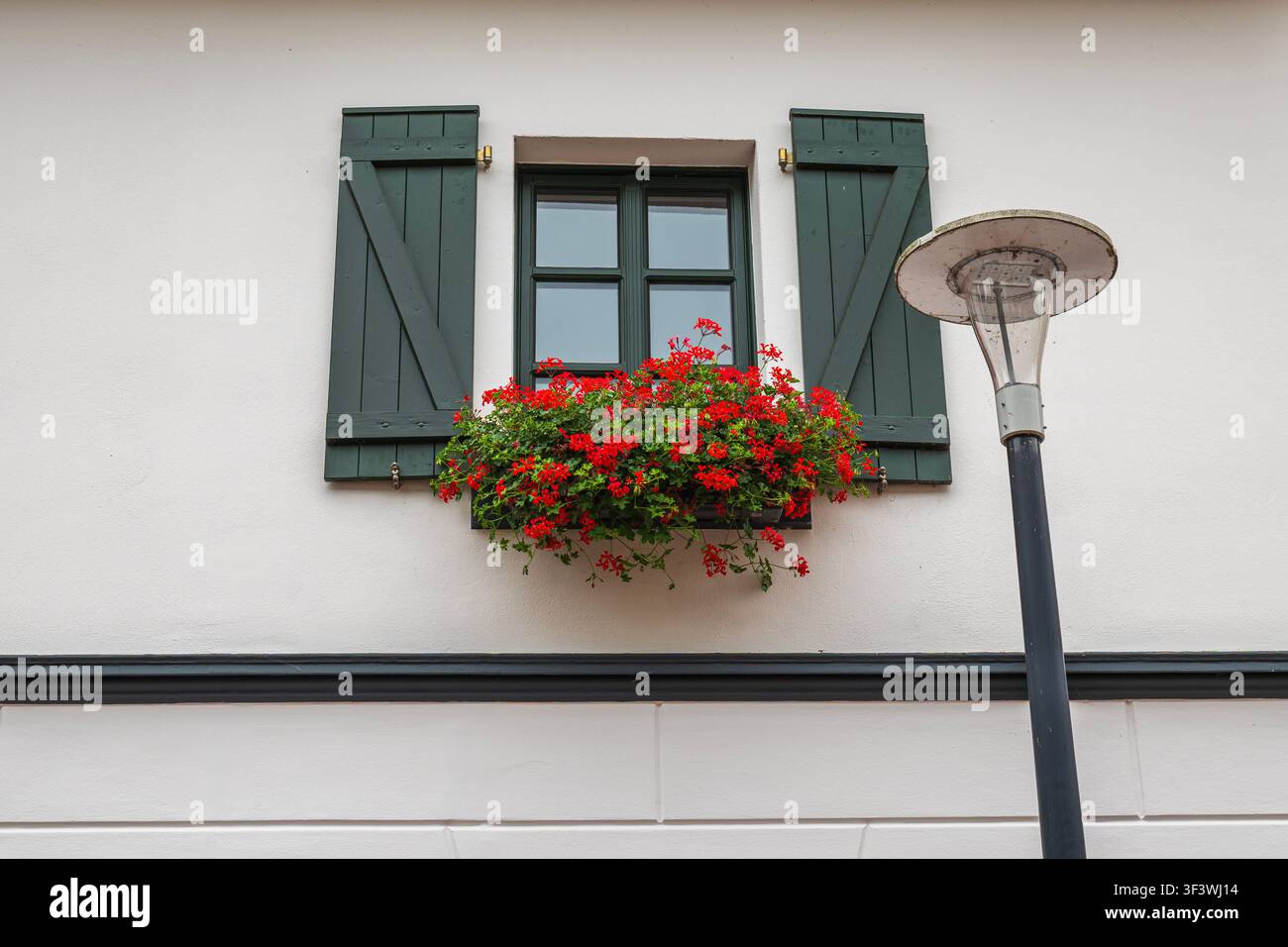 Affascinante finestra di facciata di una casa europea tradizionale con persiane in legno verde scuro, una vivace fioriera piena di gerani rossi e un moderno lampione stradale Foto Stock