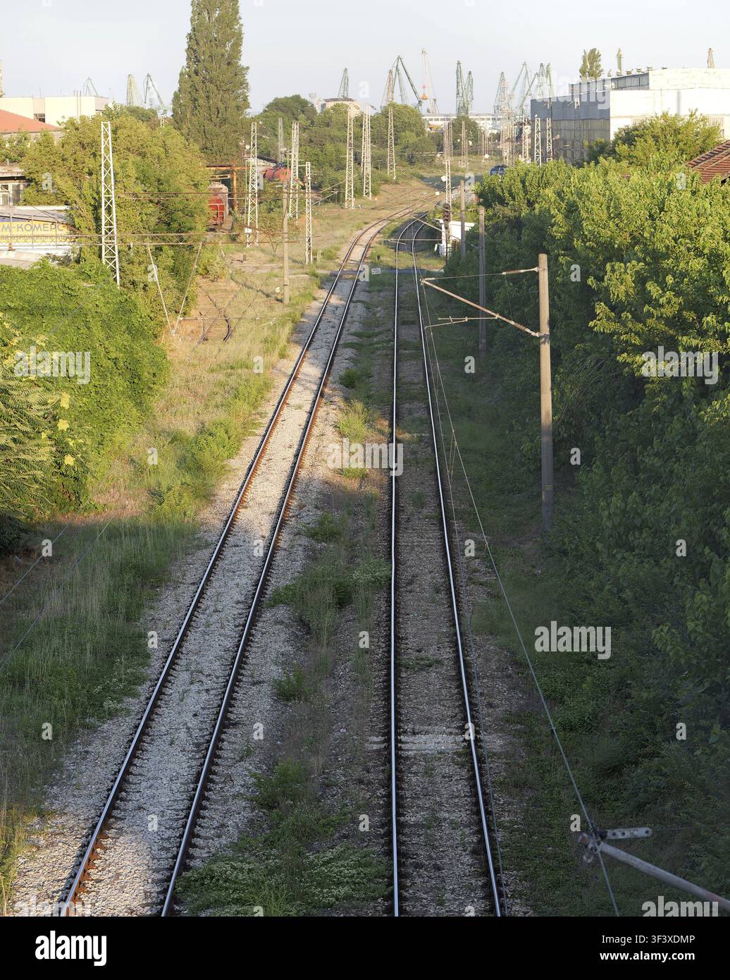 Due linee ferroviarie parallele che si estendono in lontananza, collegando un paesaggio verde invaso dalla vegetazione con infrastrutture portuali industriali e numerose gru Foto Stock