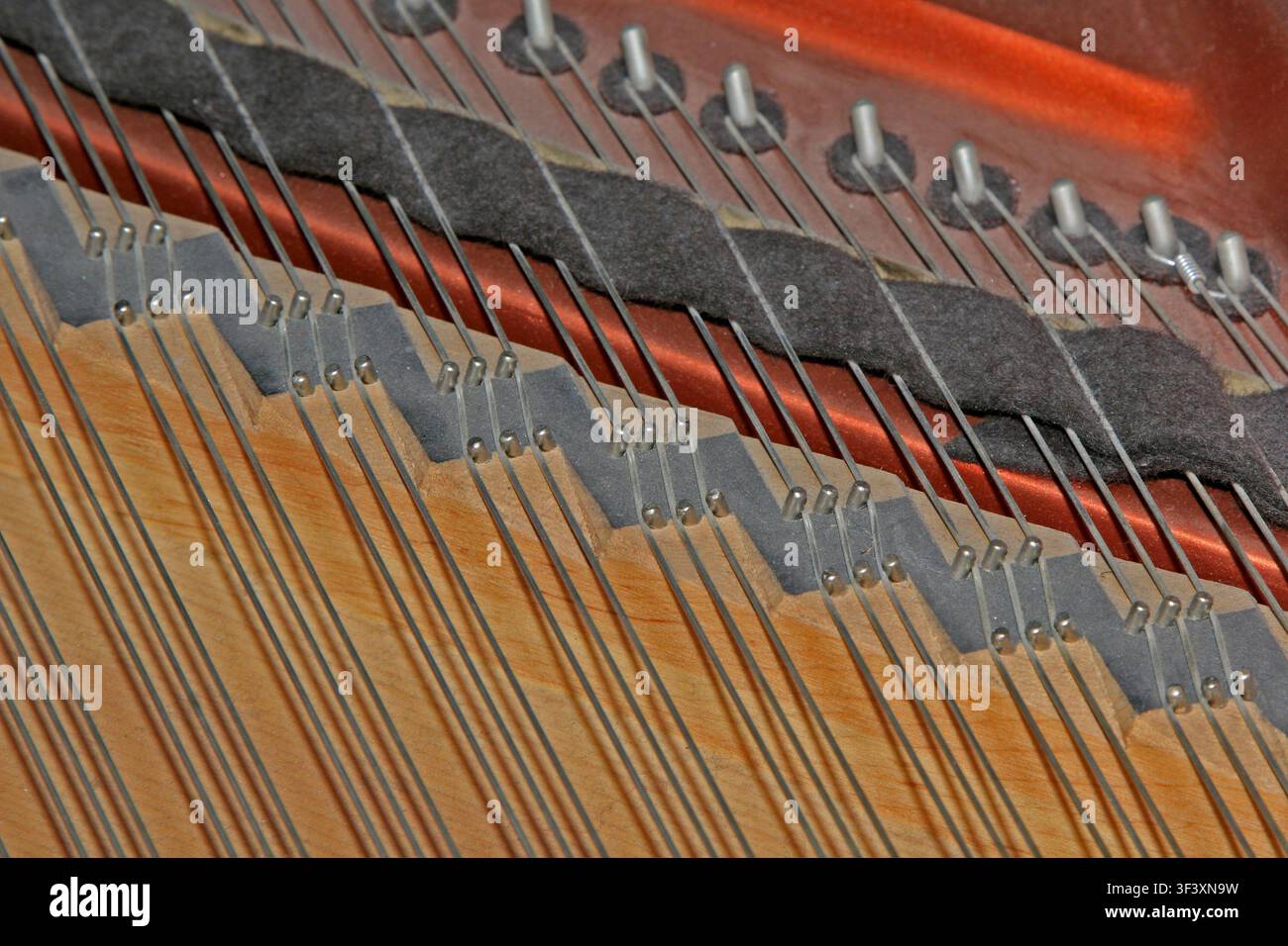 Le sottili corde metalliche sono disposte ordinatamente su una tavola armonica in legno dai toni caldi, abbinate a feltro smorzante e perni metallici, rivelando la struttura interna precisa Foto Stock