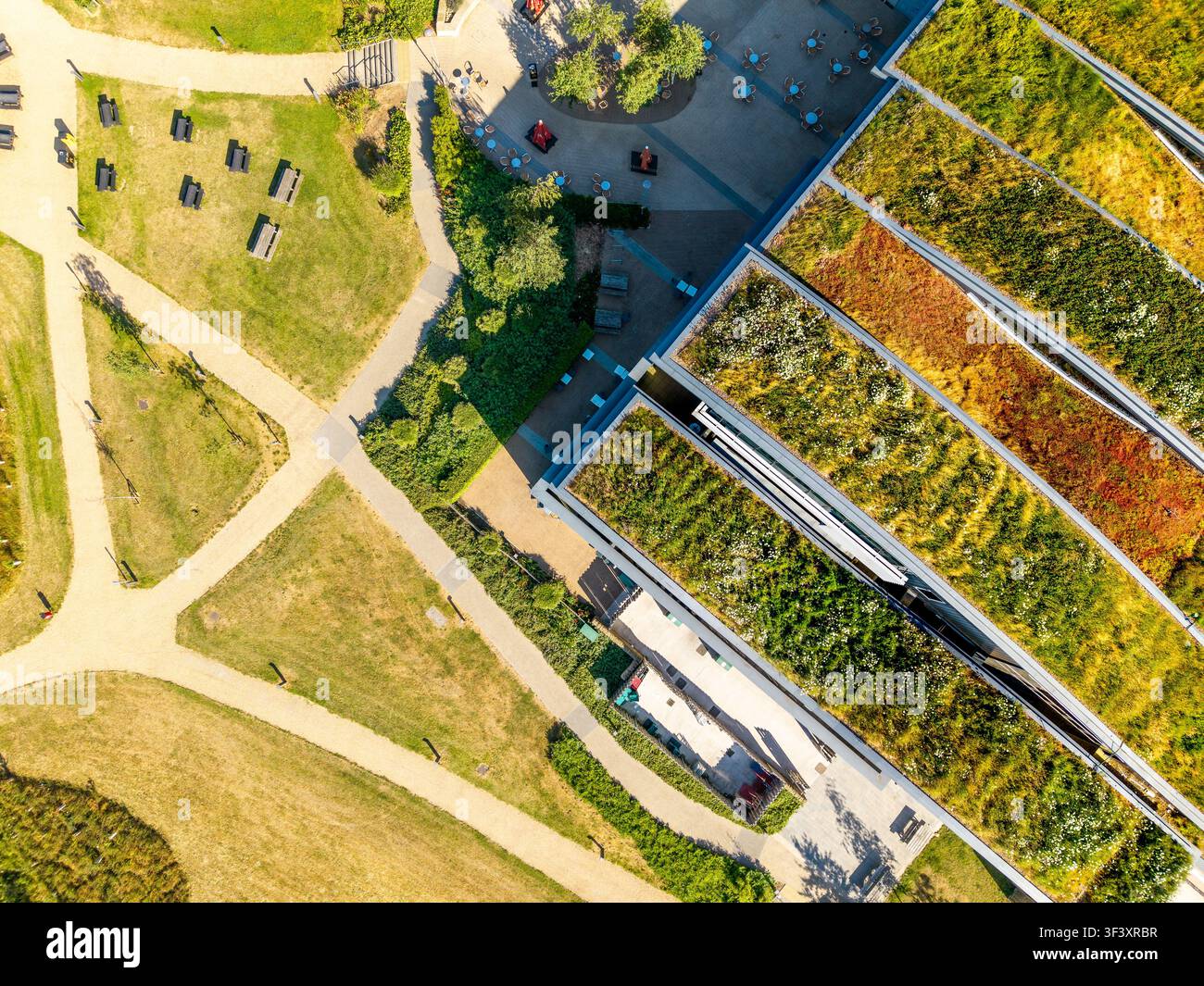 Vista aerea dall'alto di un tetto verde vivente con vegetazione rigogliosa e piante su un edificio commerciale attento all'ambiente. Foto Stock