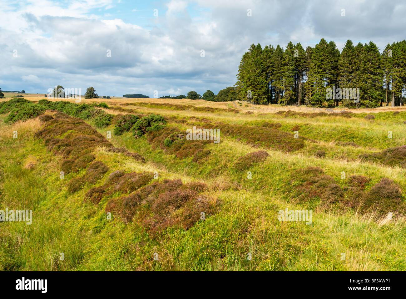 Resti del forte romano di Ardoch, un enorme sito archeologico vicino a Braco, Perth e Kinross, Scozia. I fossati e le fortificazioni sono ancora chiaramente visibili Foto Stock