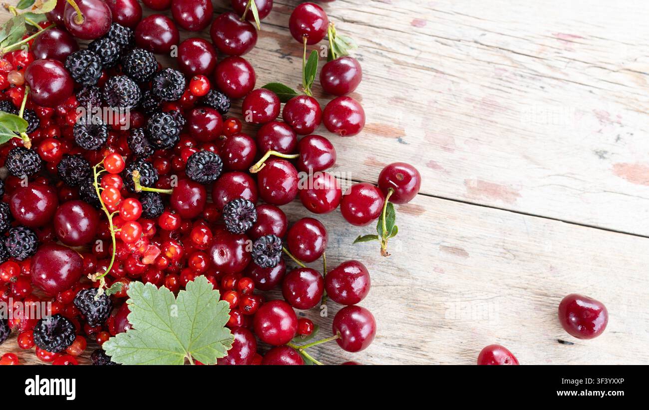 Composizione in primo piano di ciliegie rosse lucenti mescolate a lamponi neri e ribes rosse brillanti sparsi su un tavolo di legno pallido consumato, gocce di rugiada sulla frutta, accento di foglia verde fresca, vista naturale dall'alto Foto Stock