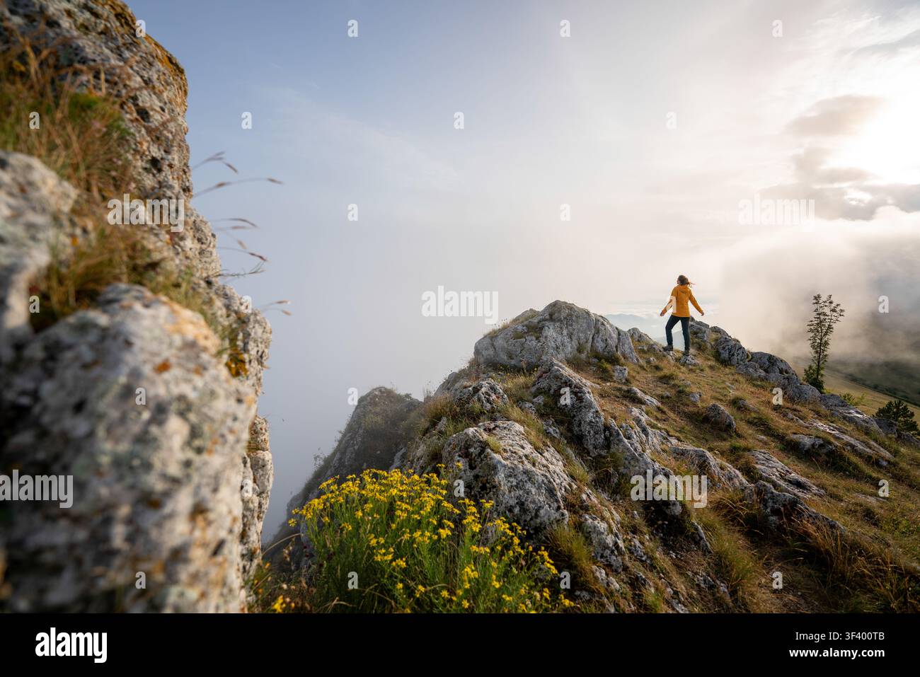 Un'escursionista determinata si trova su una vetta montuosa per celebrare l'avvio del suo obiettivo Foto Stock