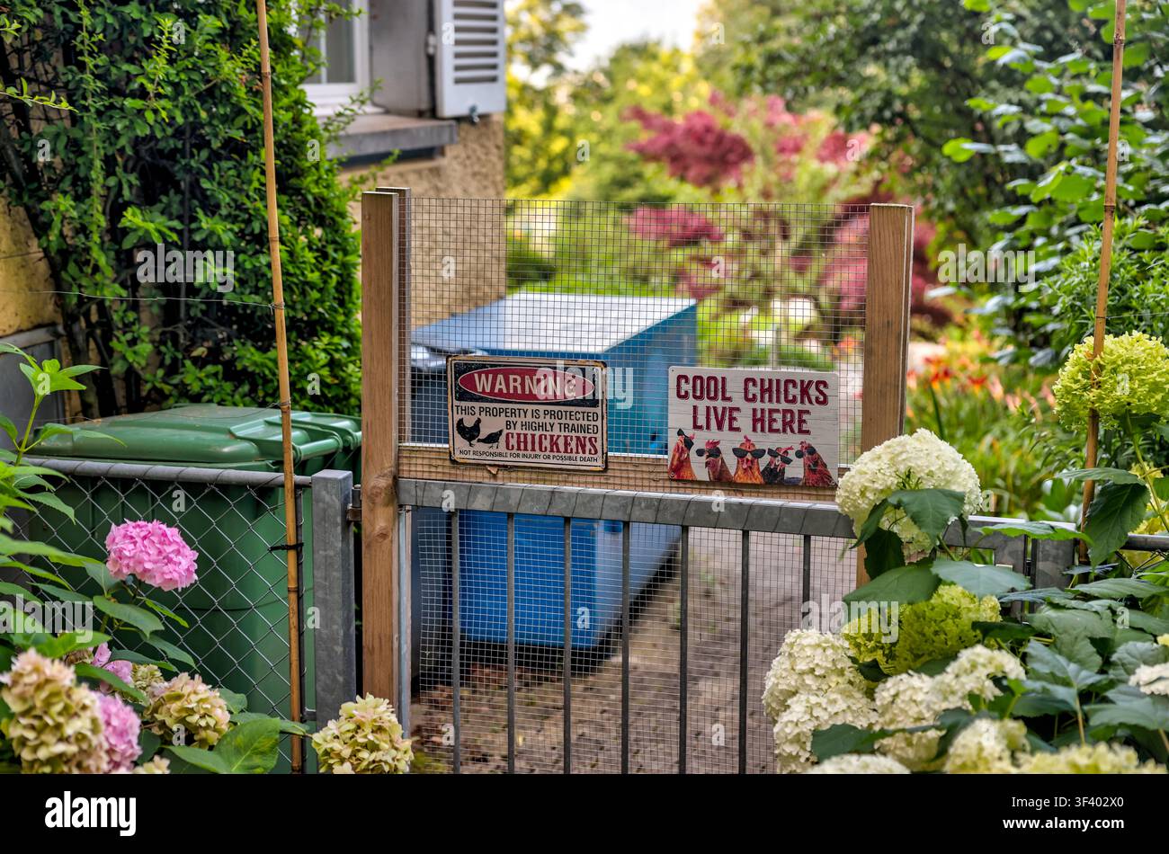 Pollaio in un giardino residenziale a Zurigo, Svizzera. Foto Stock