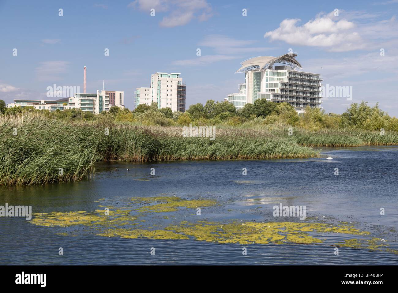 Cardiff Bay, la riserva naturale, con edifici moderni, tra cui l'hotel St. David's, sullo sfondo Foto Stock